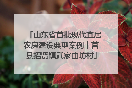 山东省首批现代宜居农房建设典型案例丨莒县招贤镇武家曲坊村