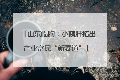 山东临朐：小鹅肝拓出产业富民“新赛道”