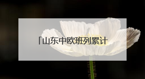 山东中欧班列累计开行超1.18万列 构建“买全球、卖全球”商贸格局