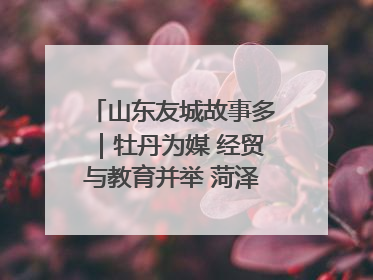 山东友城故事多｜牡丹为媒 经贸与教育并举 菏泽国际“朋友圈”扩容升级