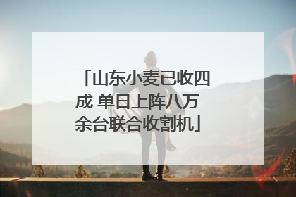 山东小麦已收四成 单日上阵八万余台联合收割机