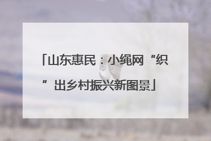 山东惠民：小绳网“织”出乡村振兴新图景