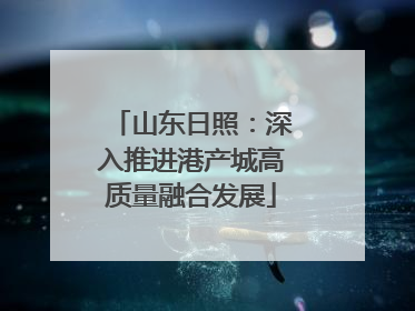 山东日照：深入推进港产城高质量融合发展