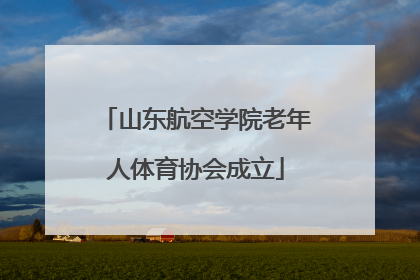 山东航空学院老年人体育协会成立