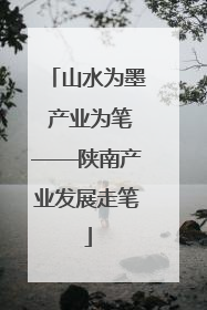 山水为墨 产业为笔——陕南产业发展走笔