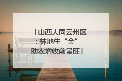 山西大同云州区：林地生“金” 助农增收前景旺