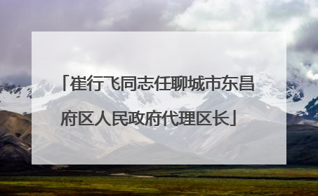 崔行飞同志任聊城市东昌府区人民政府代理区长