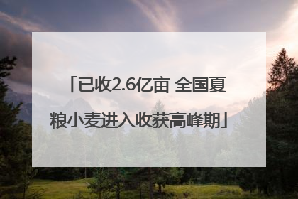 已收2.6亿亩 全国夏粮小麦进入收获高峰期