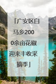 广安区白马乡2000余亩花椒迎来丰收采摘季