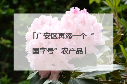 广安区再添一个“国字号”农产品