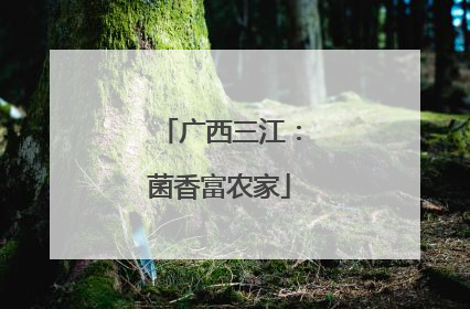 广西三江：菌香富农家