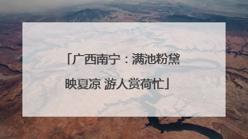 广西南宁：满池粉黛映夏凉 游人赏荷忙