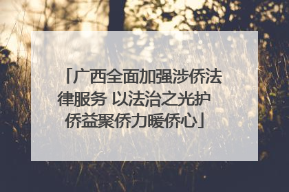 广西全面加强涉侨法律服务 以法治之光护侨益聚侨力暖侨心