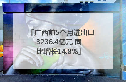 广西前5个月进出口3236.4亿元 同比增长14.8%