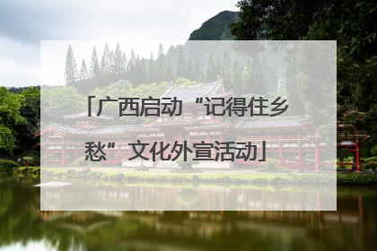 广西启动“记得住乡愁”文化外宣活动