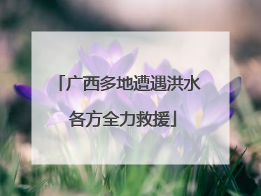 广西多地遭遇洪水 各方全力救援