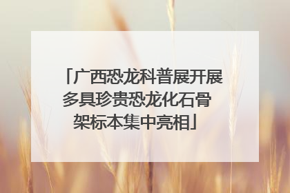 广西恐龙科普展开展 多具珍贵恐龙化石骨架标本集中亮相