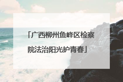 广西柳州鱼峰区检察院法治阳光护青春