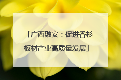 广西融安：促进香杉板材产业高质量发展
