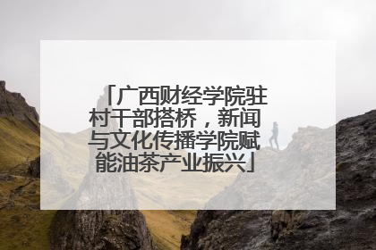 广西财经学院驻村干部搭桥，新闻与文化传播学院赋能油茶产业振兴