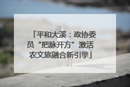 平和大溪：政协委员“把脉开方”激活农文旅融合新引擎