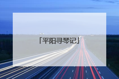 平阳寻琴记
