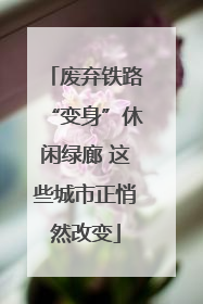 废弃铁路“变身”休闲绿廊 这些城市正悄然改变