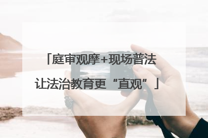 庭审观摩+现场普法 让法治教育更“直观”