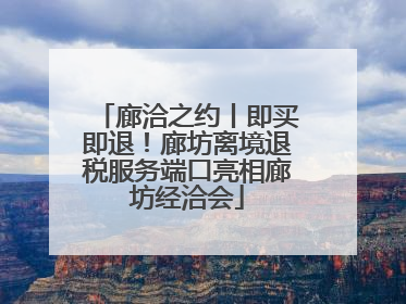 廊洽之约丨即买即退！廊坊离境退税服务端口亮相廊坊经洽会