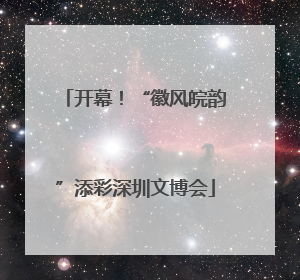 开幕！“徽风皖韵”添彩深圳文博会