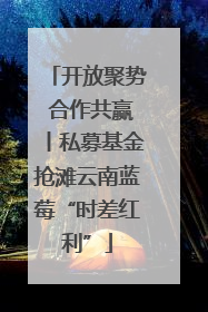 开放聚势 合作共赢丨私募基金抢滩云南蓝莓“时差红利”