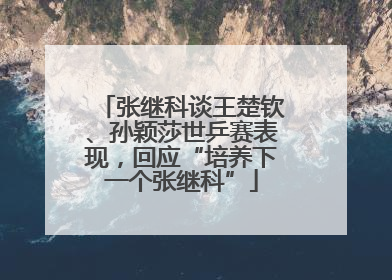张继科谈王楚钦、孙颖莎世乒赛表现，回应“培养下一个张继科”