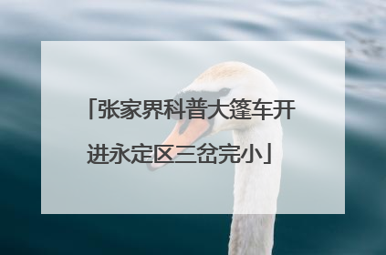 张家界科普大篷车开进永定区三岔完小