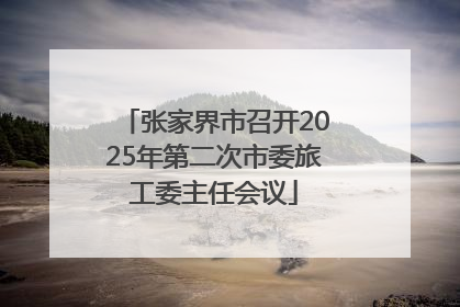 张家界市召开2025年第二次市委旅工委主任会议