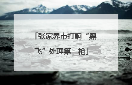 张家界市打响“黑飞”处理第一枪