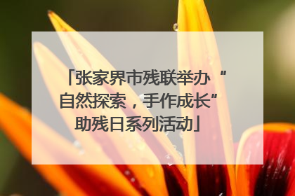 张家界市残联举办“自然探索，手作成长”助残日系列活动