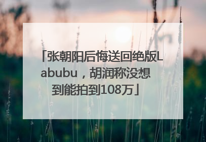 张朝阳后悔送回绝版Labubu，胡润称没想到能拍到108万