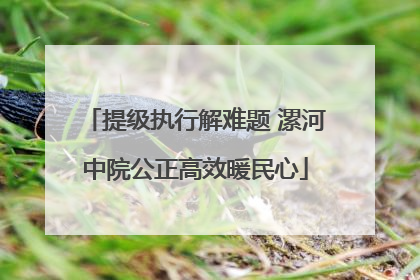 提级执行解难题 漯河中院公正高效暖民心