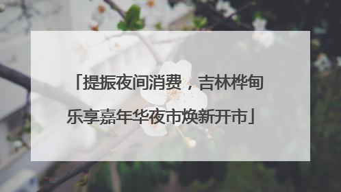 提振夜间消费，吉林桦甸乐享嘉年华夜市焕新开市