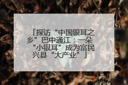 探访“中国银耳之乡”巴中通江：一朵“小银耳”成为富民兴县“大产业”
