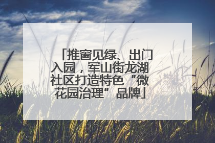 推窗见绿、出门入园，军山街龙湖社区打造特色“微花园治理”品牌