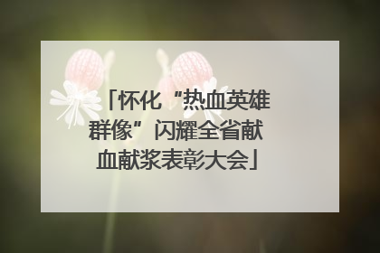怀化“热血英雄群像”闪耀全省献血献浆表彰大会