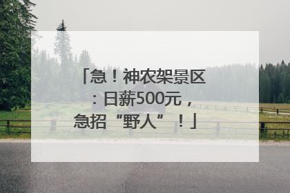 急！神农架景区：日薪500元，急招“野人”！