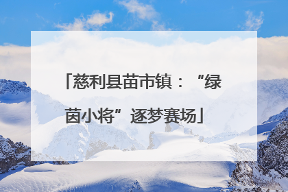 慈利县苗市镇：“绿茵小将”逐梦赛场