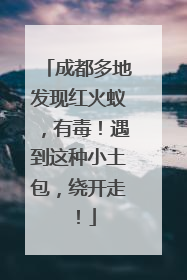 成都多地发现红火蚁，有毒！遇到这种小土包，绕开走！