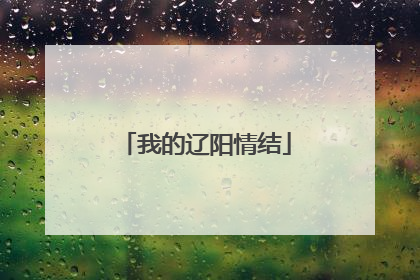 我的辽阳情结