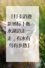 打卡消费新地标丨衡水湖边走一走，有水有鸟有乡愁