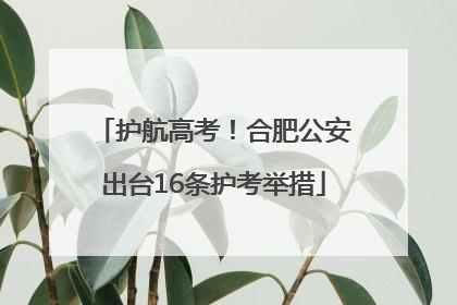 护航高考！合肥公安出台16条护考举措