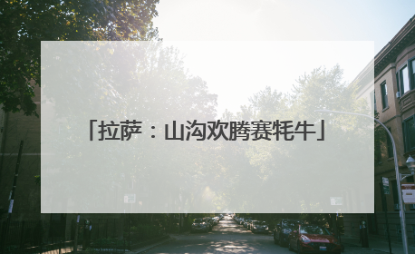 拉萨：山沟欢腾赛牦牛