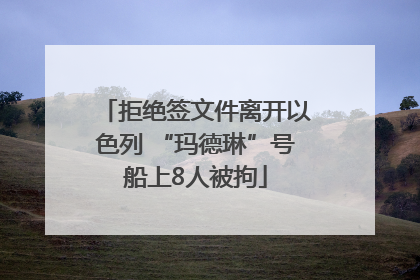 拒绝签文件离开以色列 “玛德琳”号船上8人被拘
